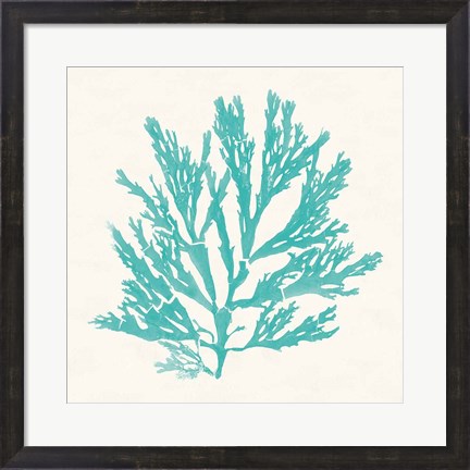 Framed Pacific Sea Mosses I Aqua Print