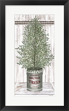 Framed Galvanized Pot Cedar Print