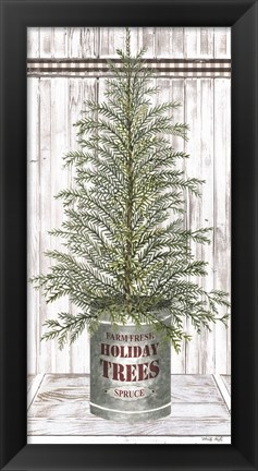 Framed Galvanized Pot Spruce Print