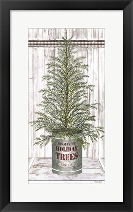 Framed Galvanized Pot Spruce Print