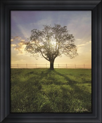 Framed Morning Shadows Print