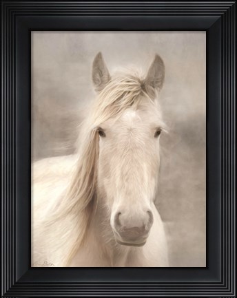 Framed White Beauty I Print