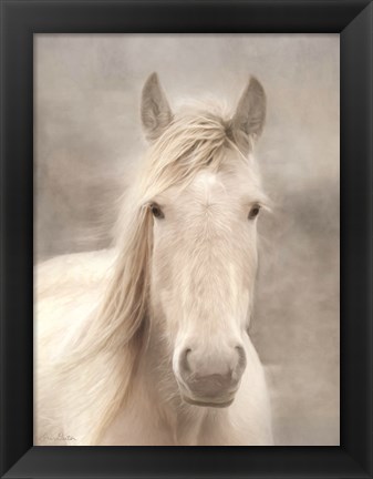 Framed White Beauty I Print