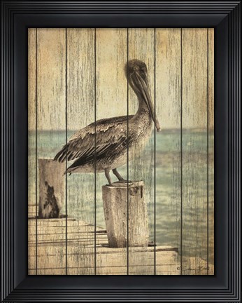 Framed Vintage Pelican I Print