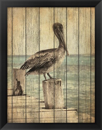 Framed Vintage Pelican I Print