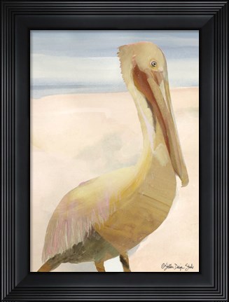 Framed Pelican 1 Print