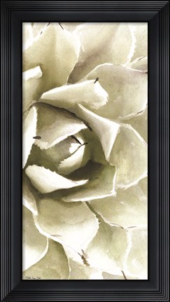 Framed Agave Panel 1 Print