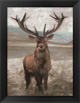 Framed Grand Elk 1 Print