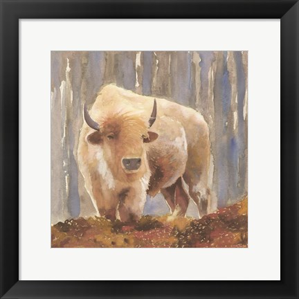 Framed White Buffalo Print