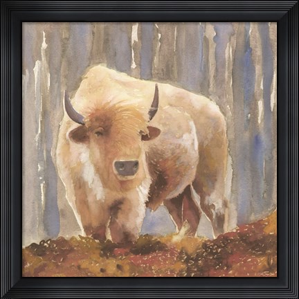 Framed White Buffalo Print
