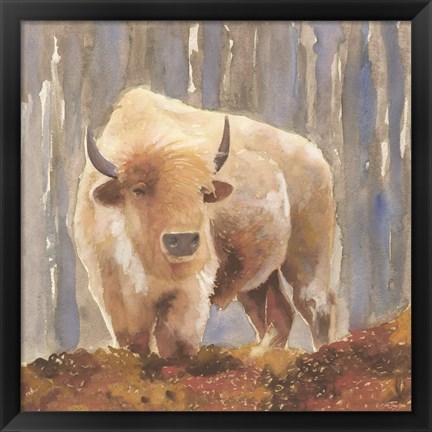 Framed White Buffalo Print