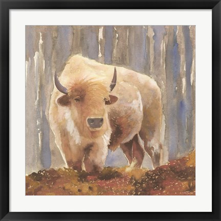 Framed White Buffalo Print