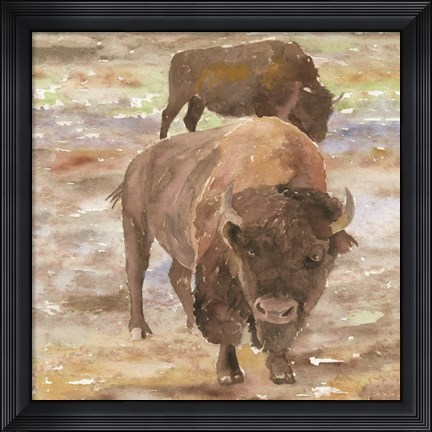 Framed Great Buffalo Print