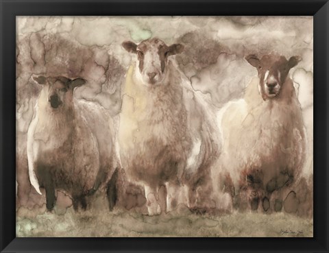 Framed Three Sheep Print