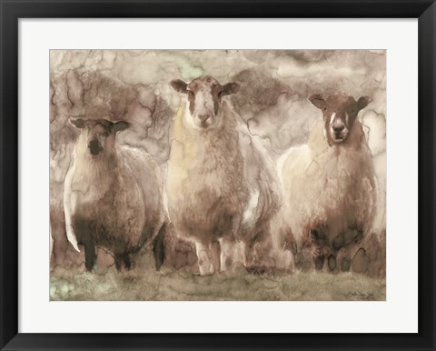 Framed Three Sheep Print