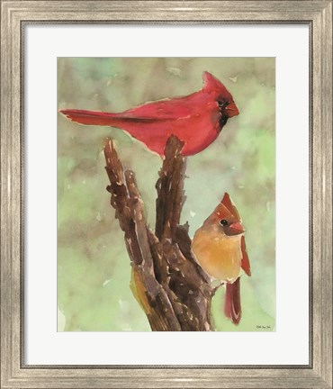 Framed Cardinal 1 Print