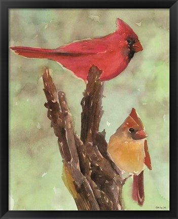 Framed Cardinal 1 Print
