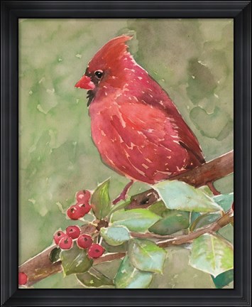 Framed Cardinal 2 Print