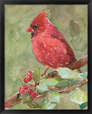 Framed Cardinal 2 Print
