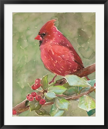 Framed Cardinal 2 Print