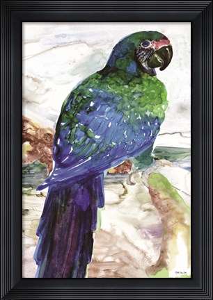 Framed Blue Parrot on Branch 1 Print