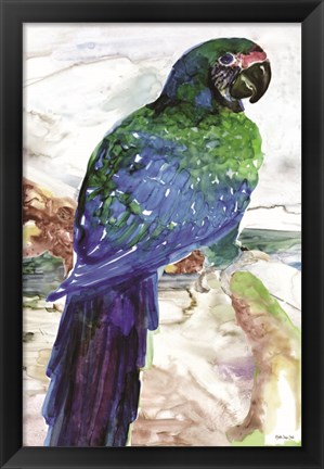 Framed Blue Parrot on Branch 1 Print