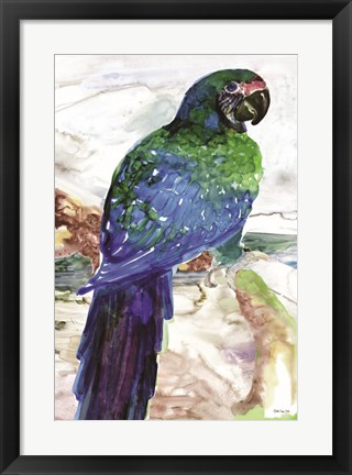 Framed Blue Parrot on Branch 1 Print