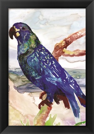 Framed Blue Parrot on Branch 2 Print