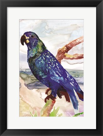 Framed Blue Parrot on Branch 2 Print