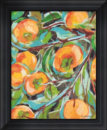 Framed Persimmon Print