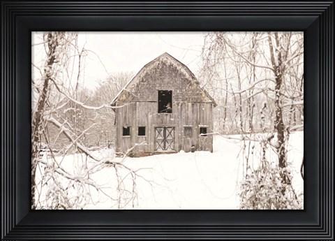 Framed New Tenant Print