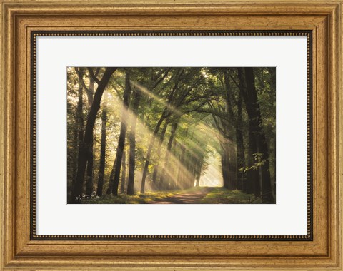 Framed Light of Lochem Print