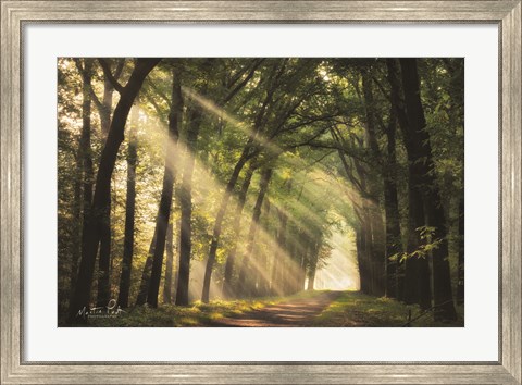 Framed Light of Lochem Print
