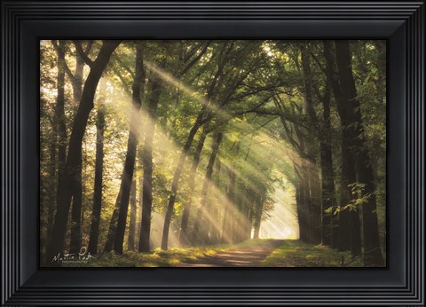 Framed Light of Lochem Print
