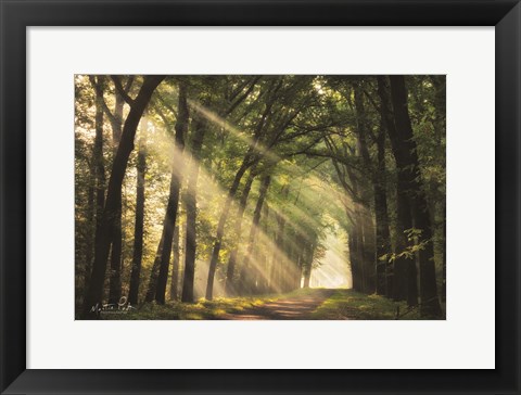 Framed Light of Lochem Print