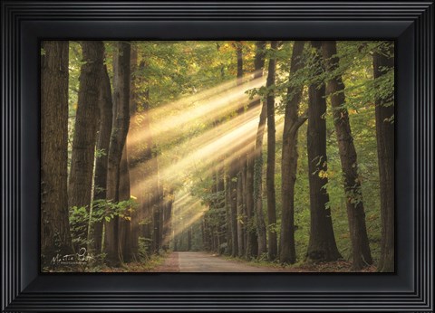 Framed Rayzor Light Print