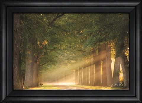 Framed Perfect Place to Sit Print