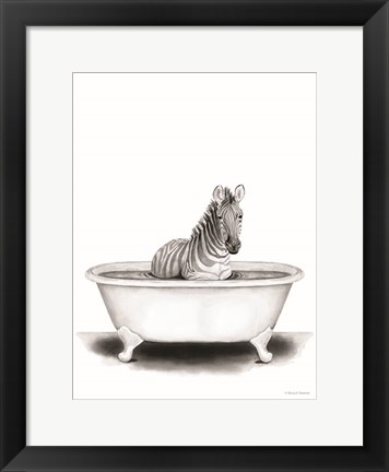 Framed Zebra in Tub Print