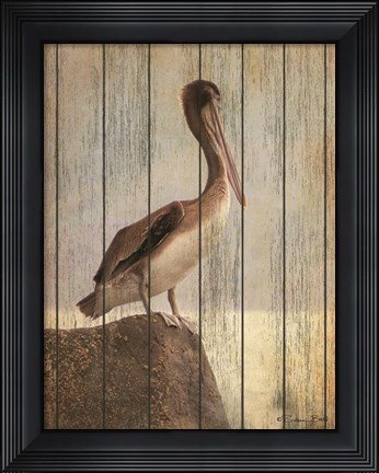 Framed Vintage Pelican II Print