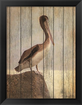 Framed Vintage Pelican II Print