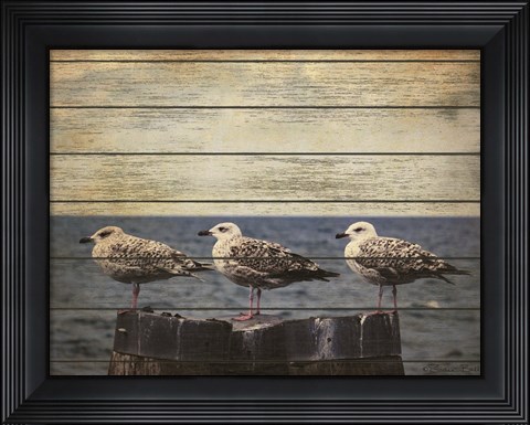 Framed Vintage Seagulls Print