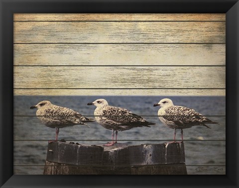 Framed Vintage Seagulls Print