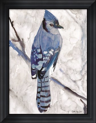 Framed Blue Jay 1 Print