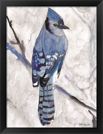 Framed Blue Jay 1 Print