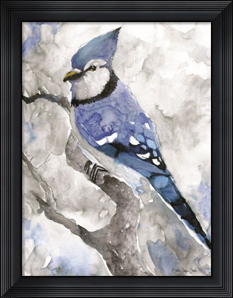 Framed Blue Jay 2 Print