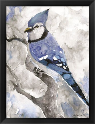 Framed Blue Jay 2 Print