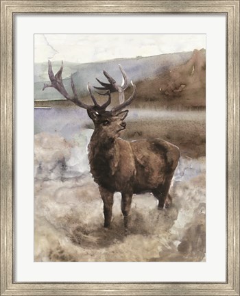 Framed Grand Elk 2 Print
