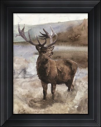 Framed Grand Elk 2 Print