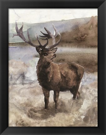 Framed Grand Elk 2 Print
