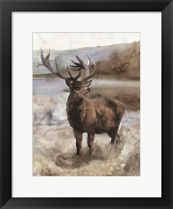 Framed Grand Elk 2 Print